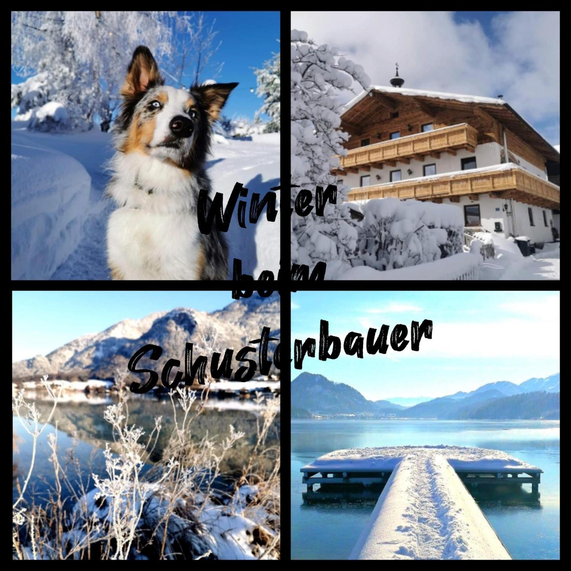 Schusterbauer Villa Koppl Bagian luar foto