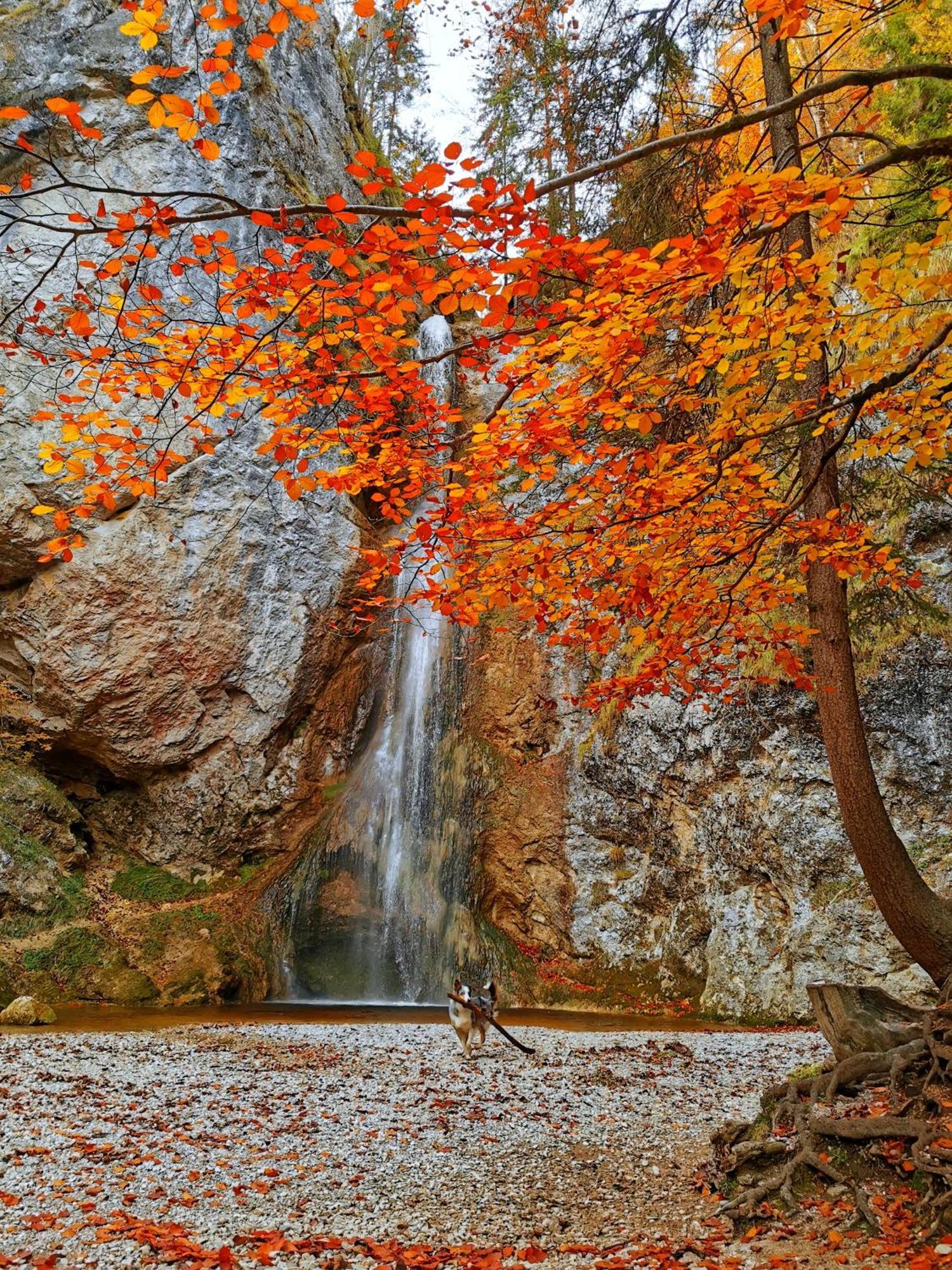 Schusterbauer Villa Koppl Bagian luar foto