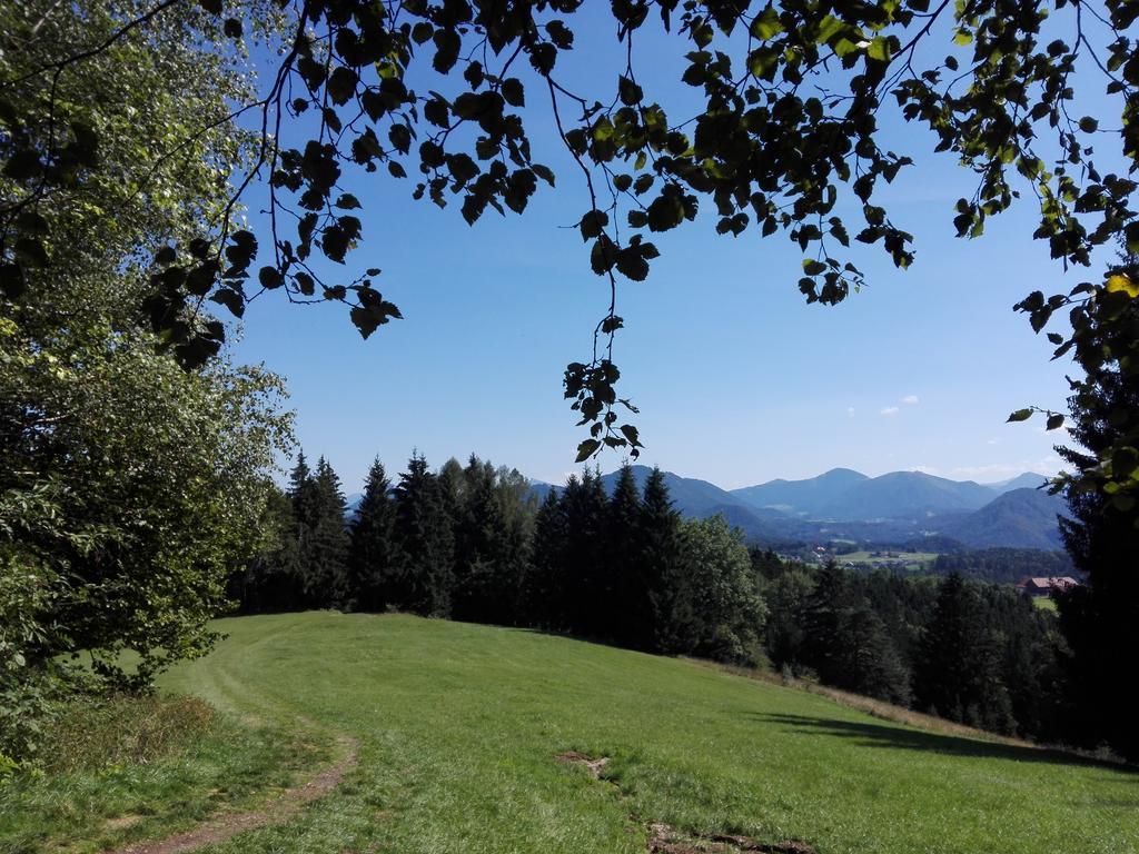 Schusterbauer Villa Koppl Bagian luar foto