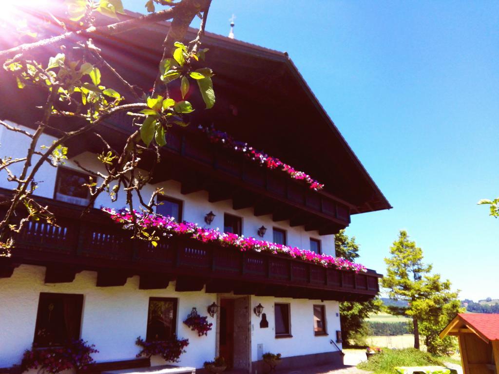 Schusterbauer Villa Koppl Bagian luar foto