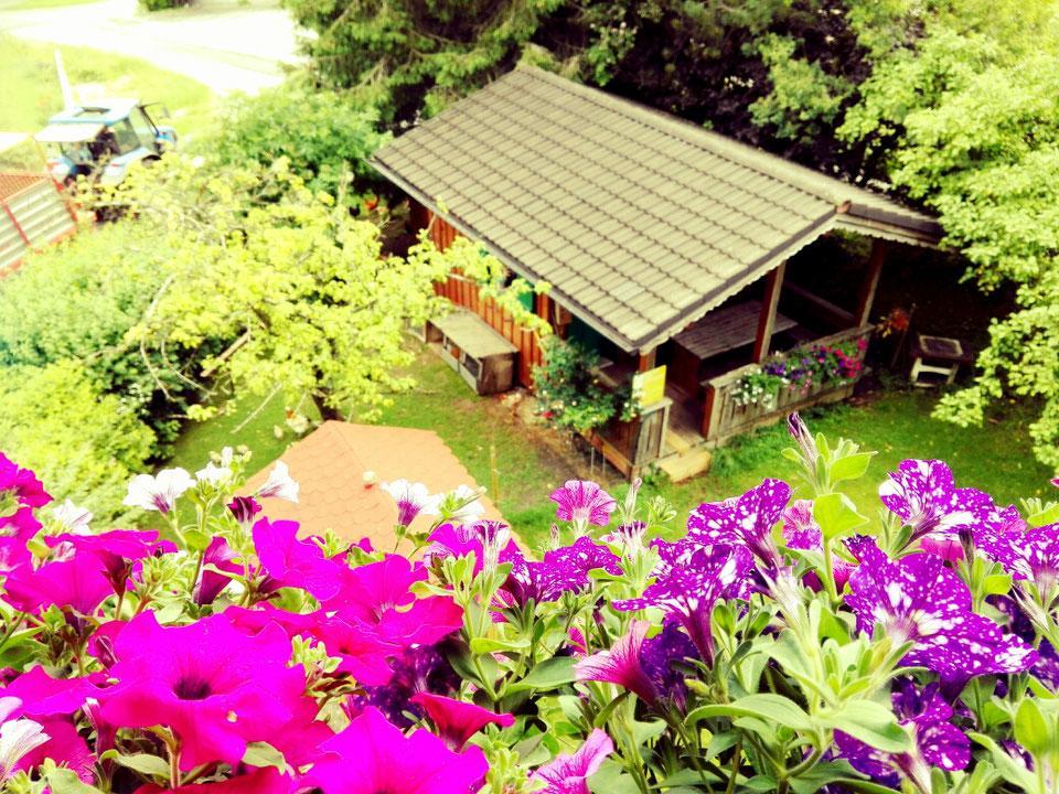 Schusterbauer Villa Koppl Bagian luar foto