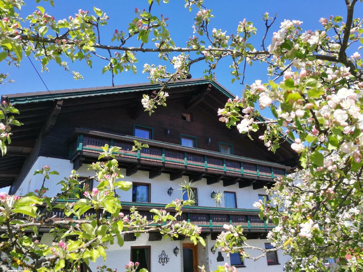 Schusterbauer Villa Koppl Bagian luar foto