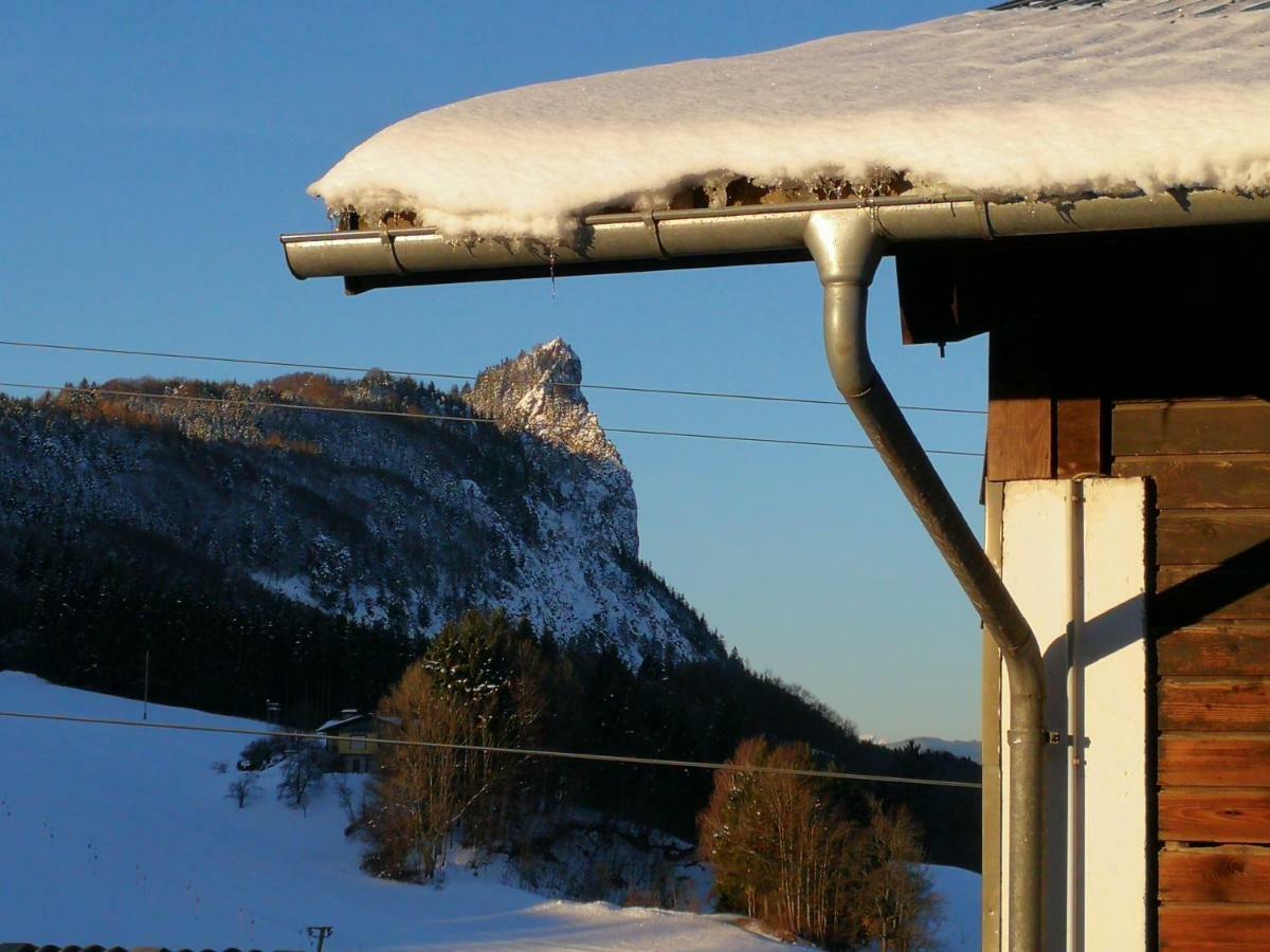 Schusterbauer Villa Koppl Bagian luar foto